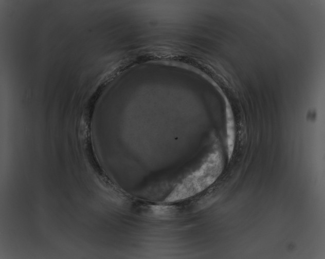 X0000095550371200801041336