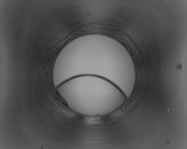 X0000095550372200801041336