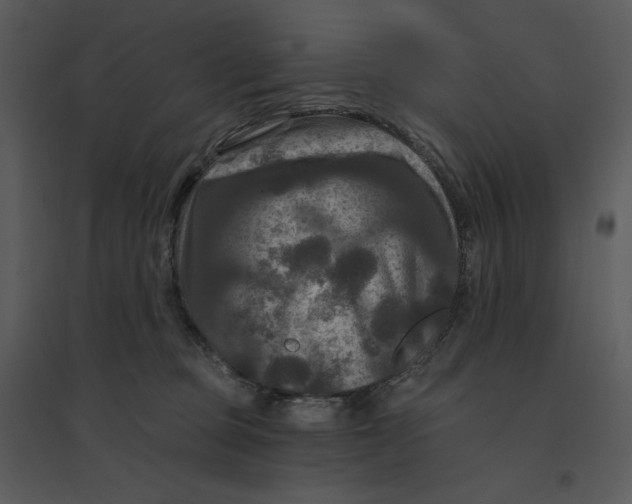 X0000095550373200801041336