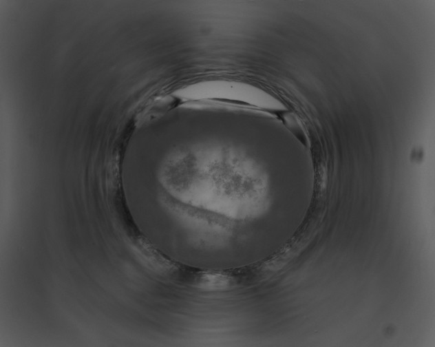 X0000095550376200801041336