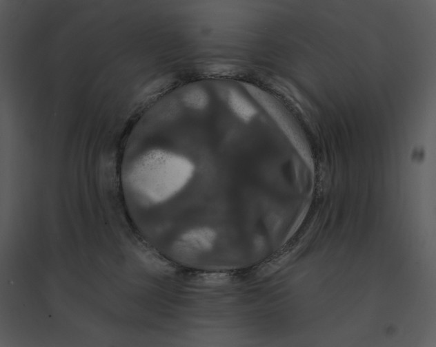 X0000095550377200801041336