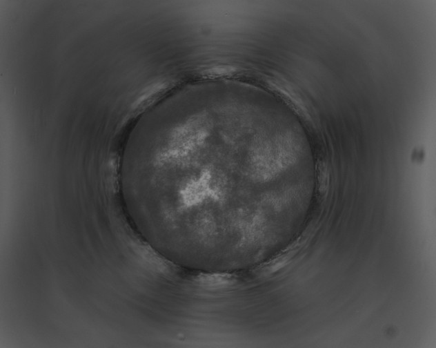 X0000095550378200801041336