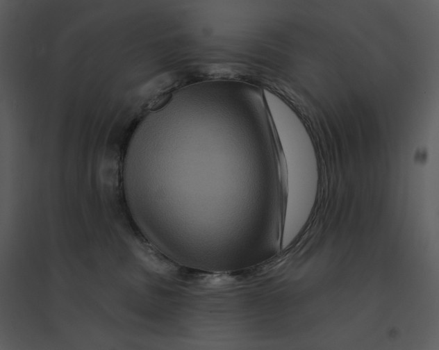 X0000095550379200801041336