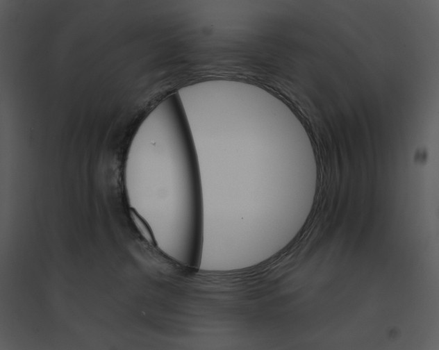 X0000095550380200801041336