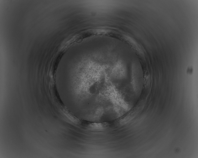 X0000095550381200801041336