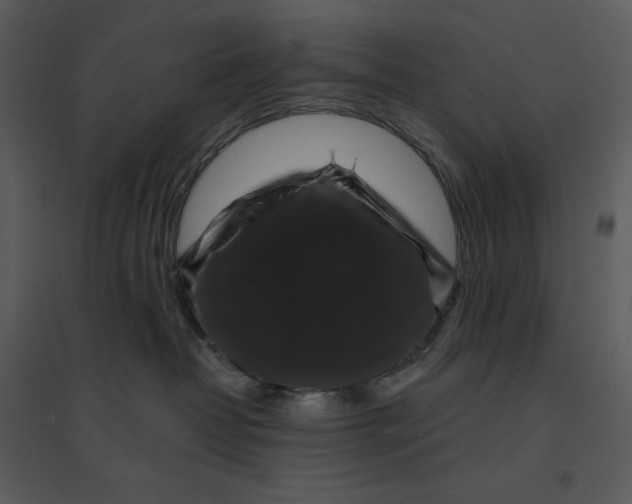 X0000095550382200801041336