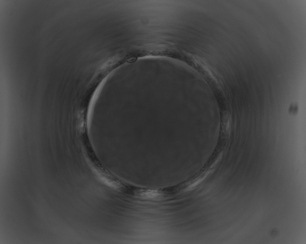 X0000095550383200801041336