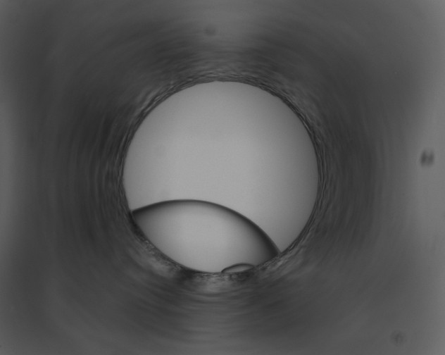 X0000095550384200801041336