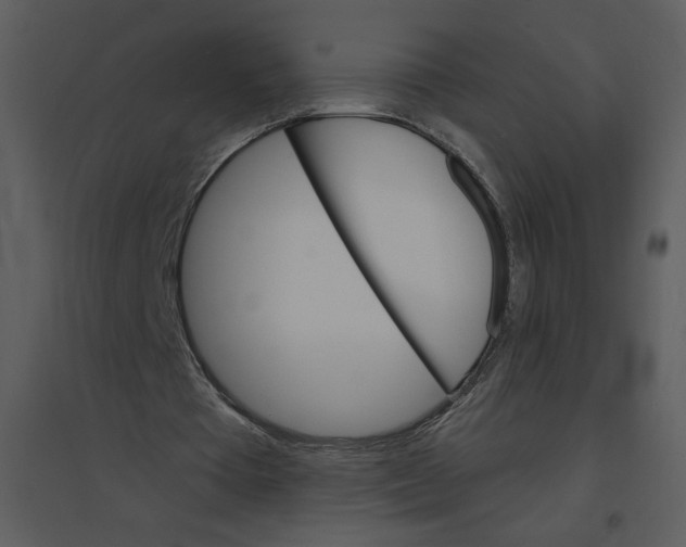 X0000095550385200801041335