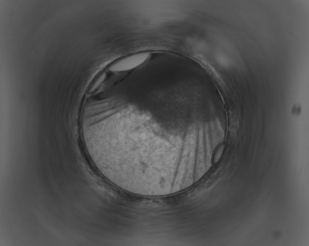 X0000095550386200801041335