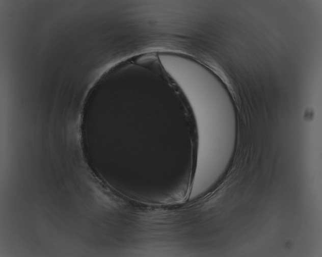 X0000095550387200801041335