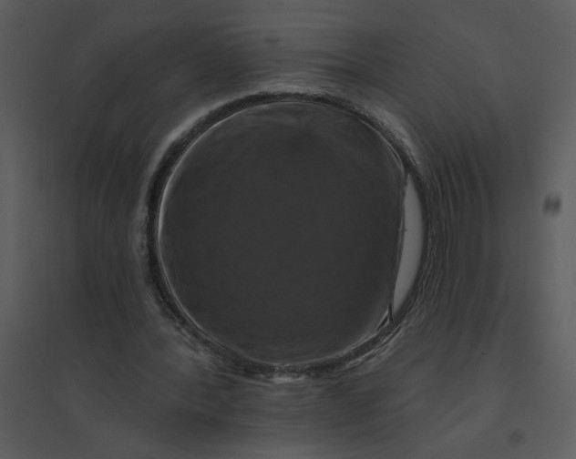 X0000095550388200801041335