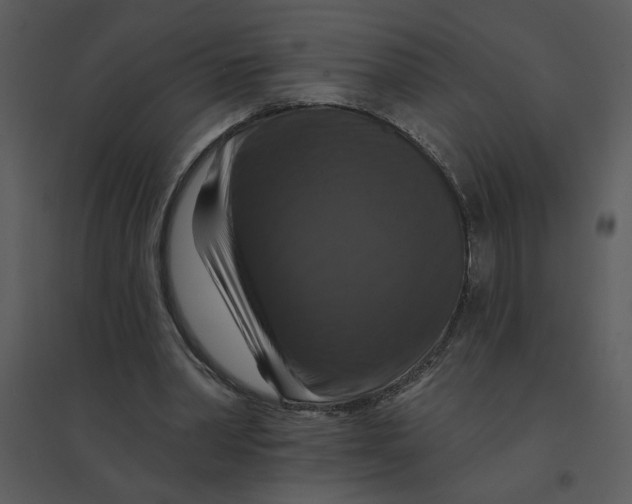 X0000095550390200801041335