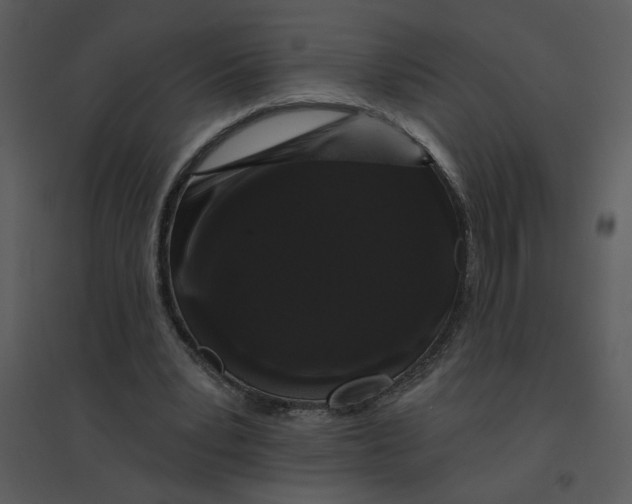 X0000095550391200801041335