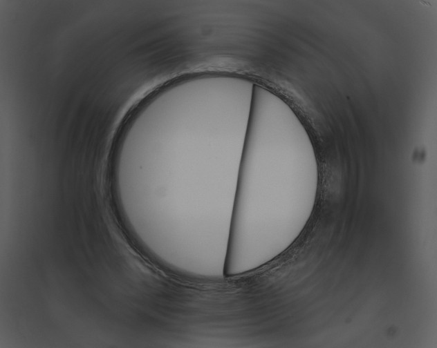 X0000095550392200801041335