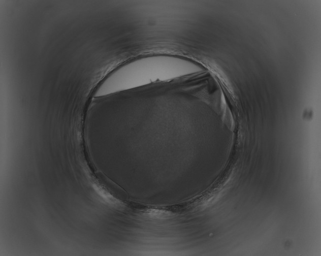 X0000095550393200801041335