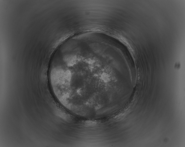 X0000095550394200801041335