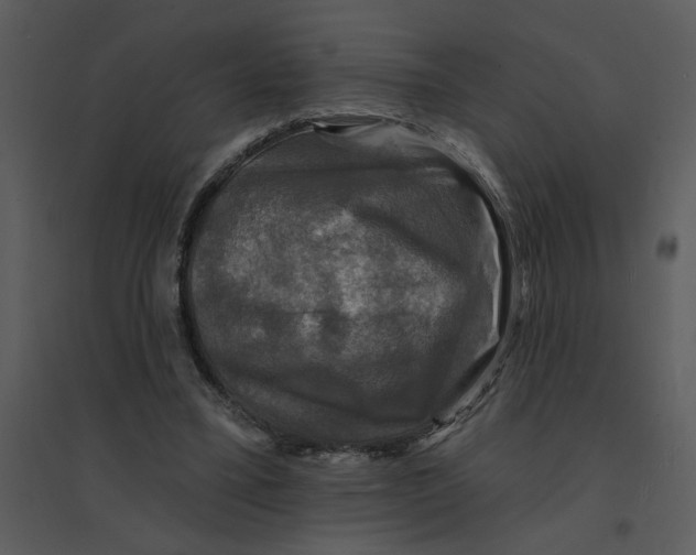 X0000095550395200801041335