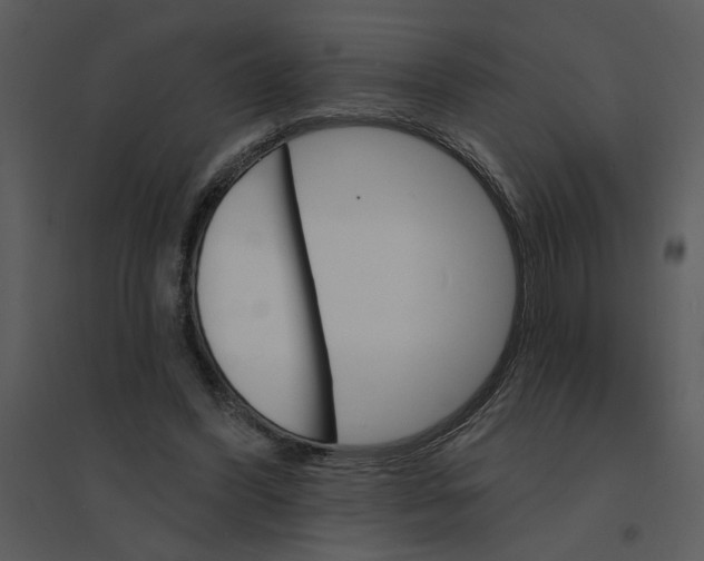 X0000095550396200801041335