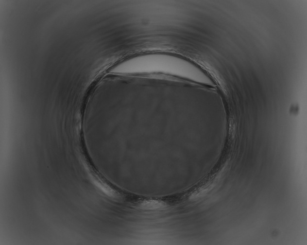 X0000095550397200801041335