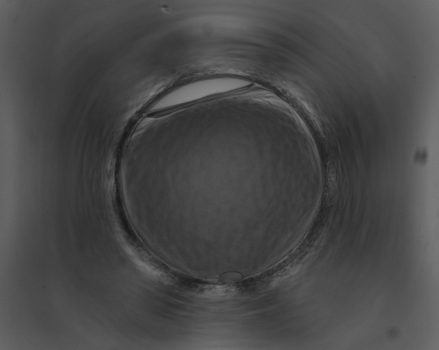 X0000095550398200801041335