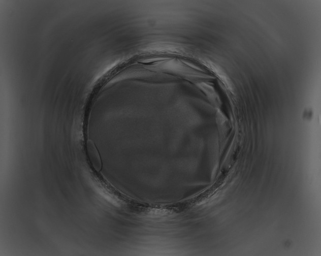 X0000095550399200801041335