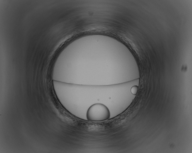 X0000095550400200801041335