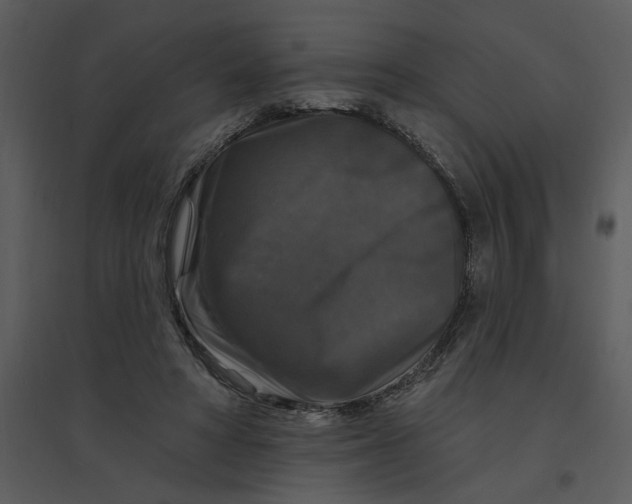 X0000095550402200801041335