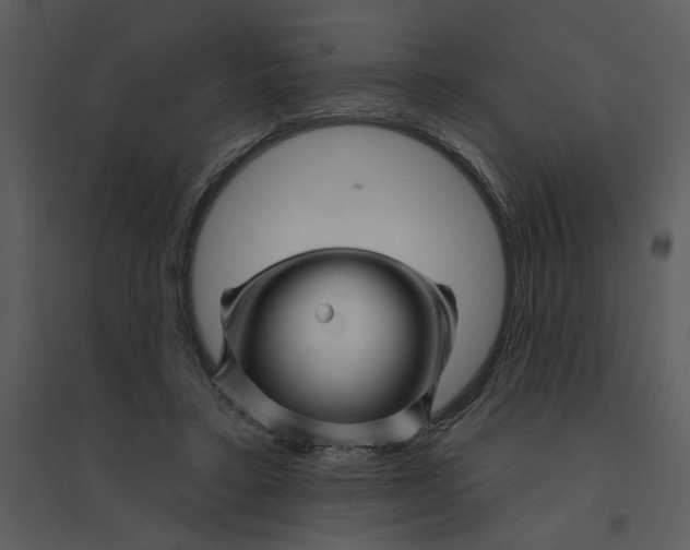 X0000095550403200801041335