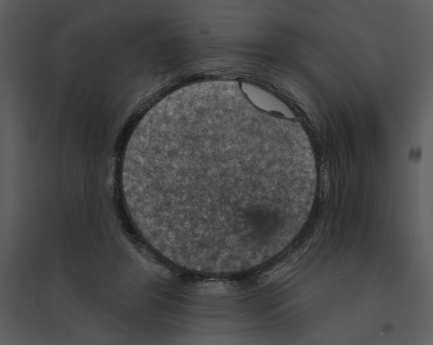 X0000095550404200801041335