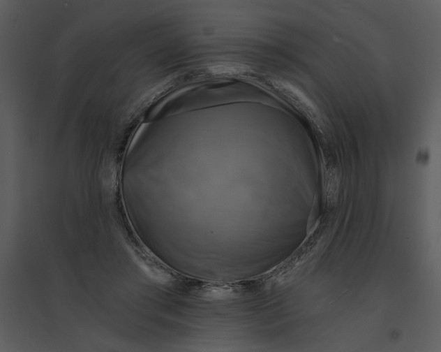 X0000095550405200801041335