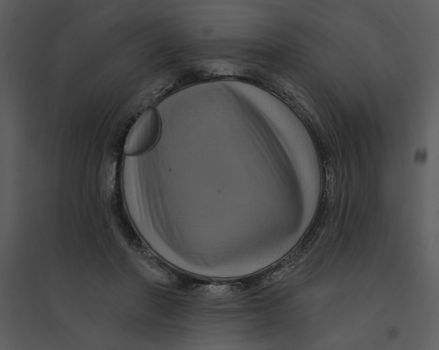 X0000095550406200801041335