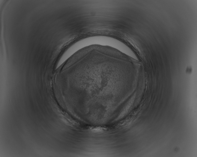 X0000095550407200801041335