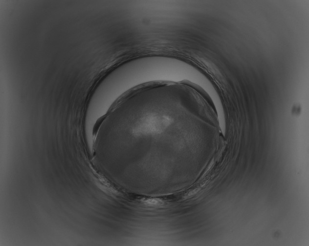 X0000095550409200801041335