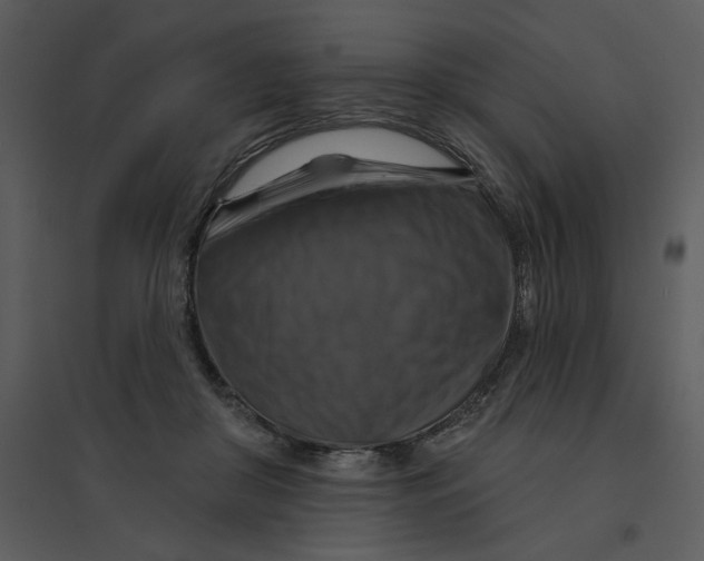 X0000095550410200801041335