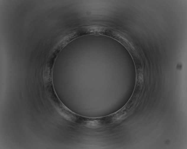 X0000095550411200801041335