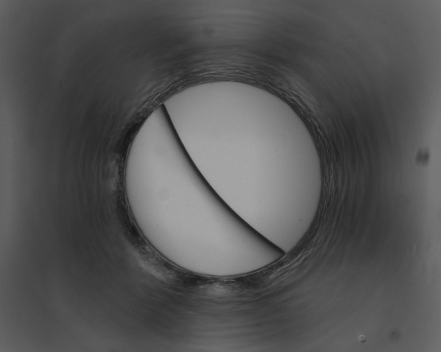 X0000095550412200801041335