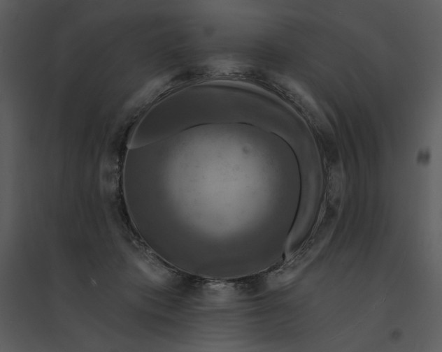 X0000095550413200801041335