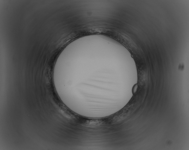 X0000095550414200801041335