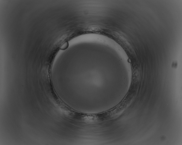 X0000095550415200801041335