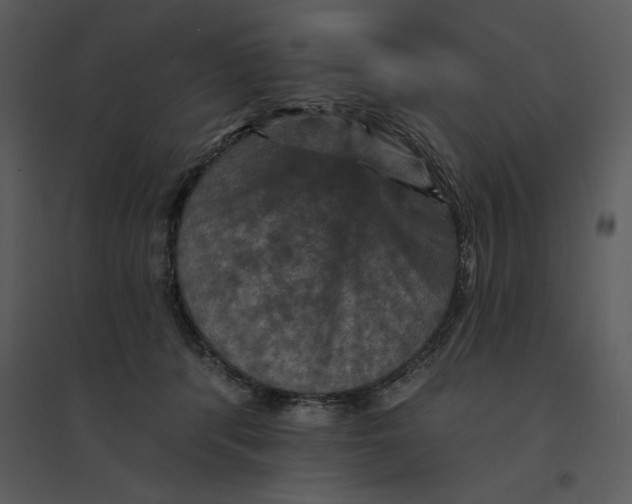 X0000095550416200801041335