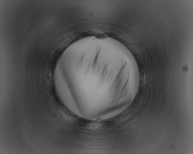 X0000095550418200801041335