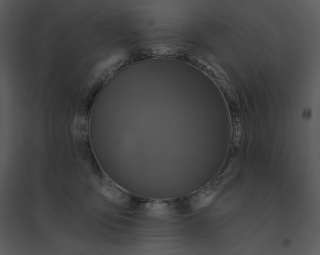 X0000095550419200801041335