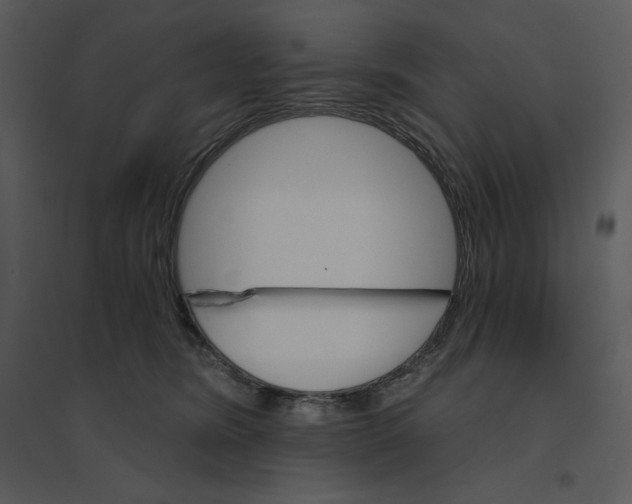 X0000095550420200801041335