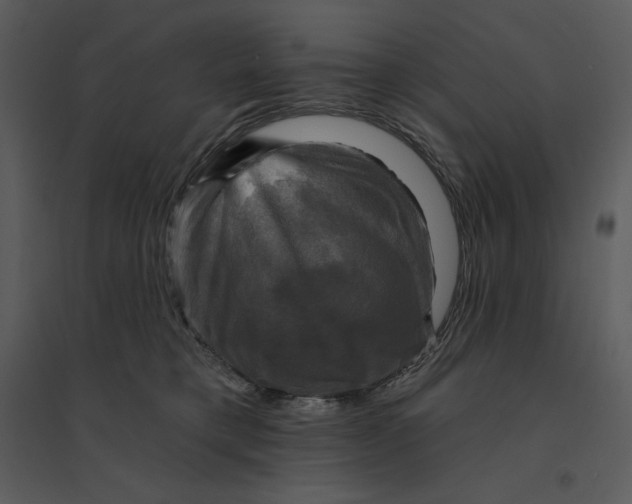 X0000095550421200801041335