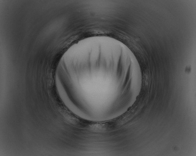 X0000095550422200801041335