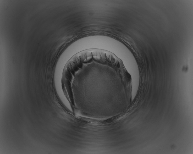 X0000095550423200801041335