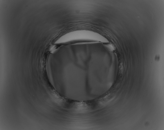 X0000095550424200801041335