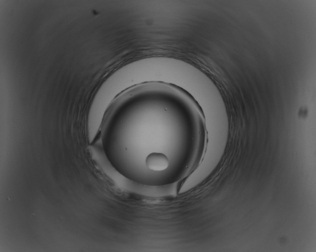 X0000095550425200801041335