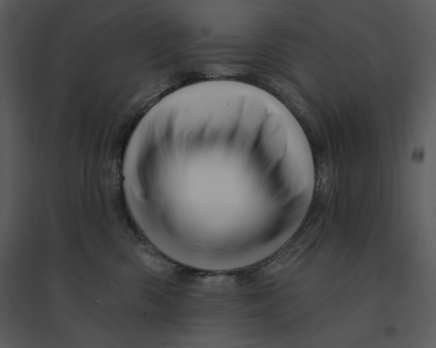 X0000095550426200801041335